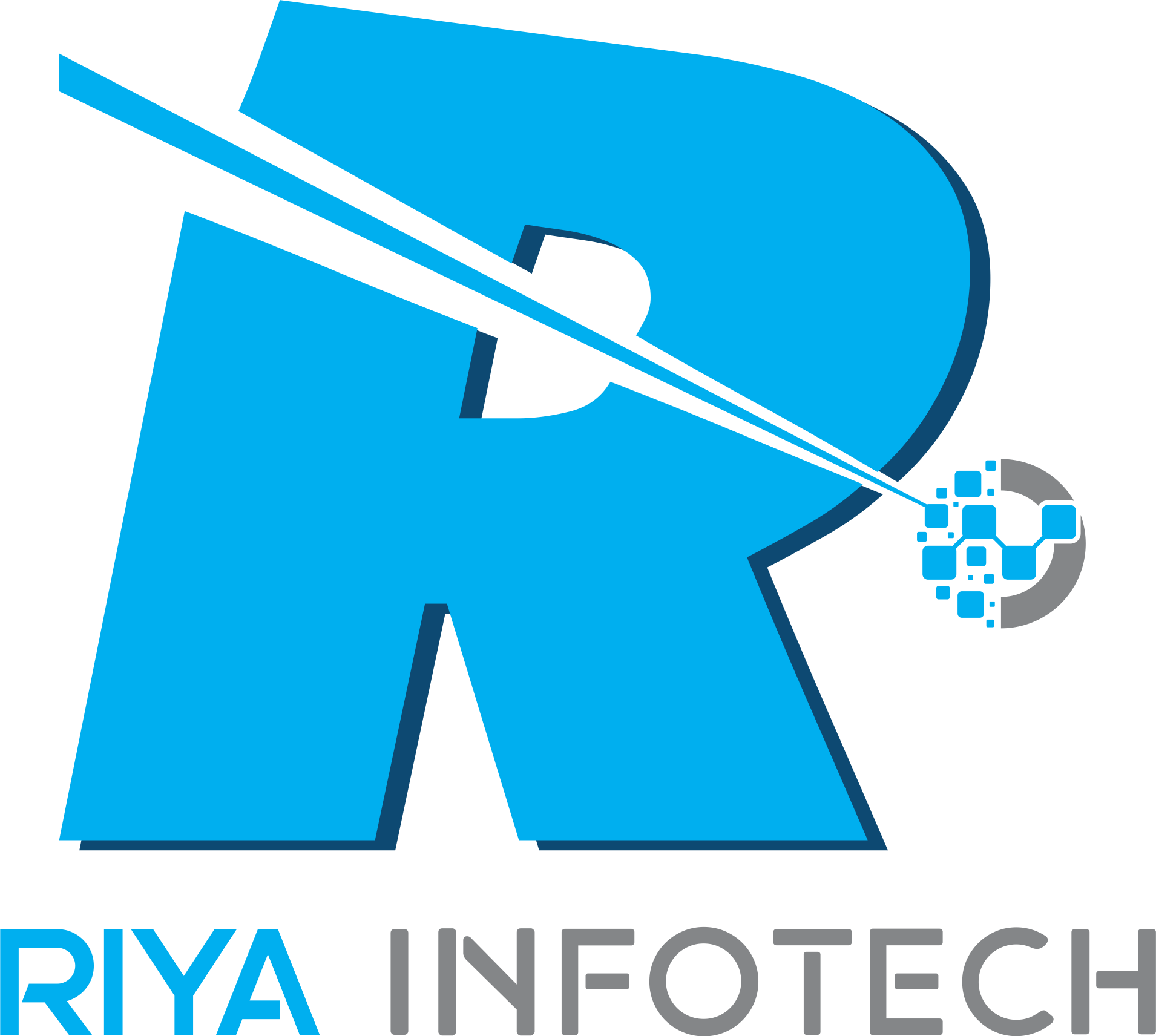 Riya Infotech